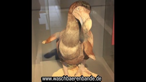 Ausflug des Waschbärenbande e. V. zum Senckenberg Naturmuseum Frankfurt, DieWaschbaerenbande